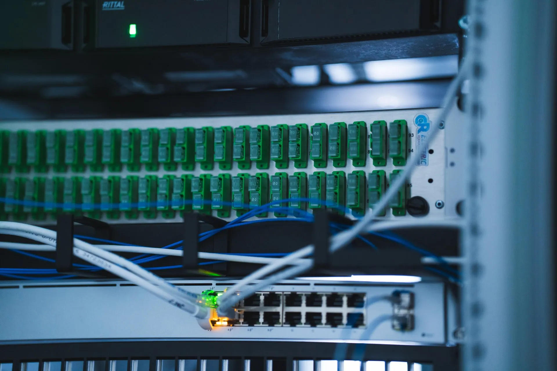 Close-up of a fibre patch panel with green connectors and blue and white cables