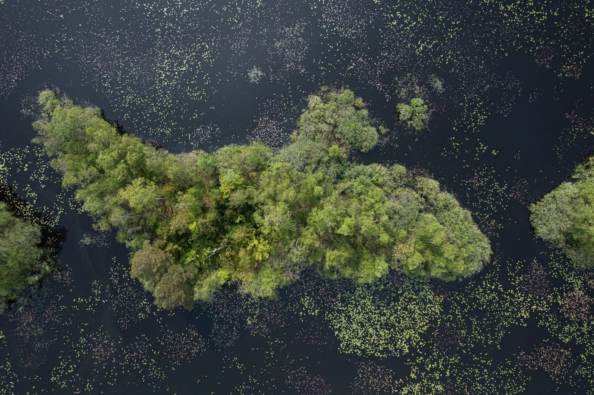 Aerial — overview
