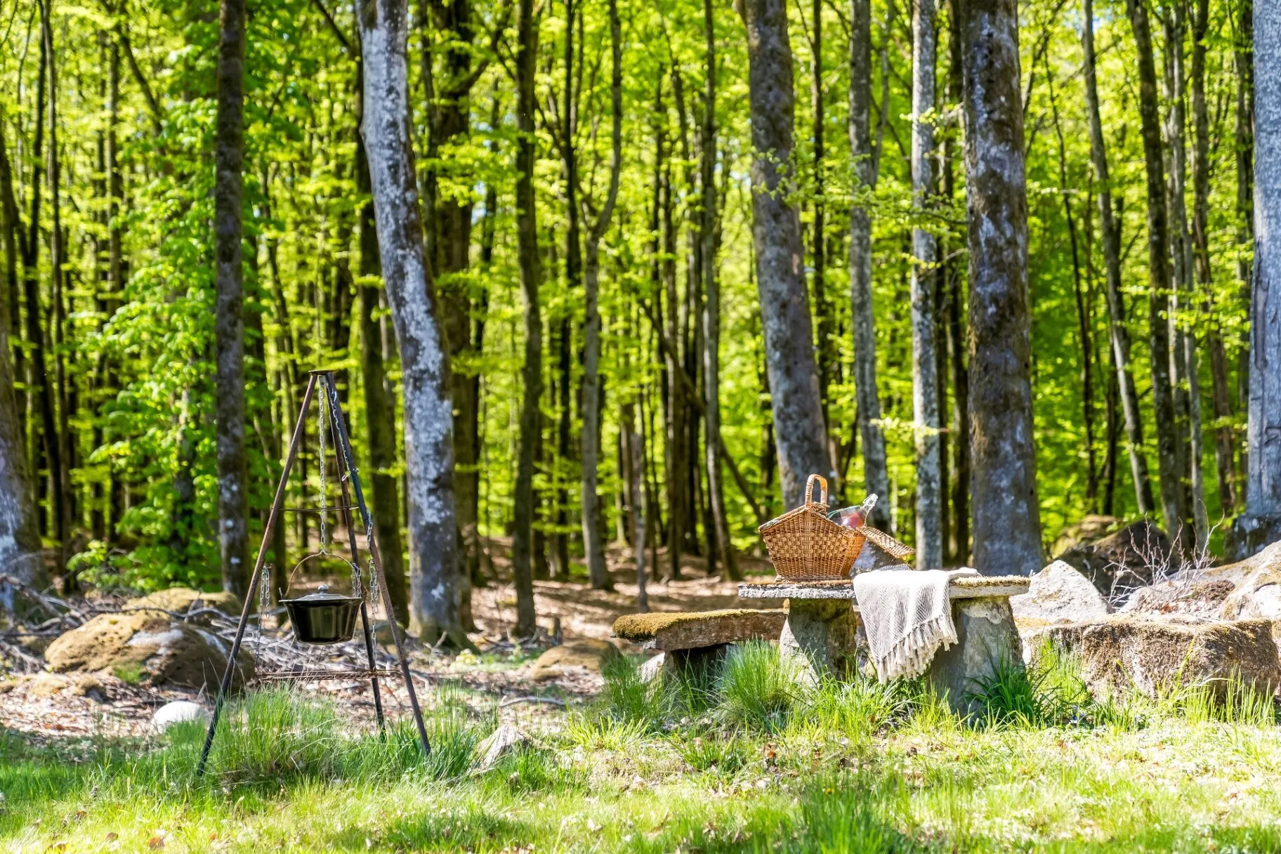 Picknickplats med grytstativ och stensittplats i bokskog åt HusmanHagberg
