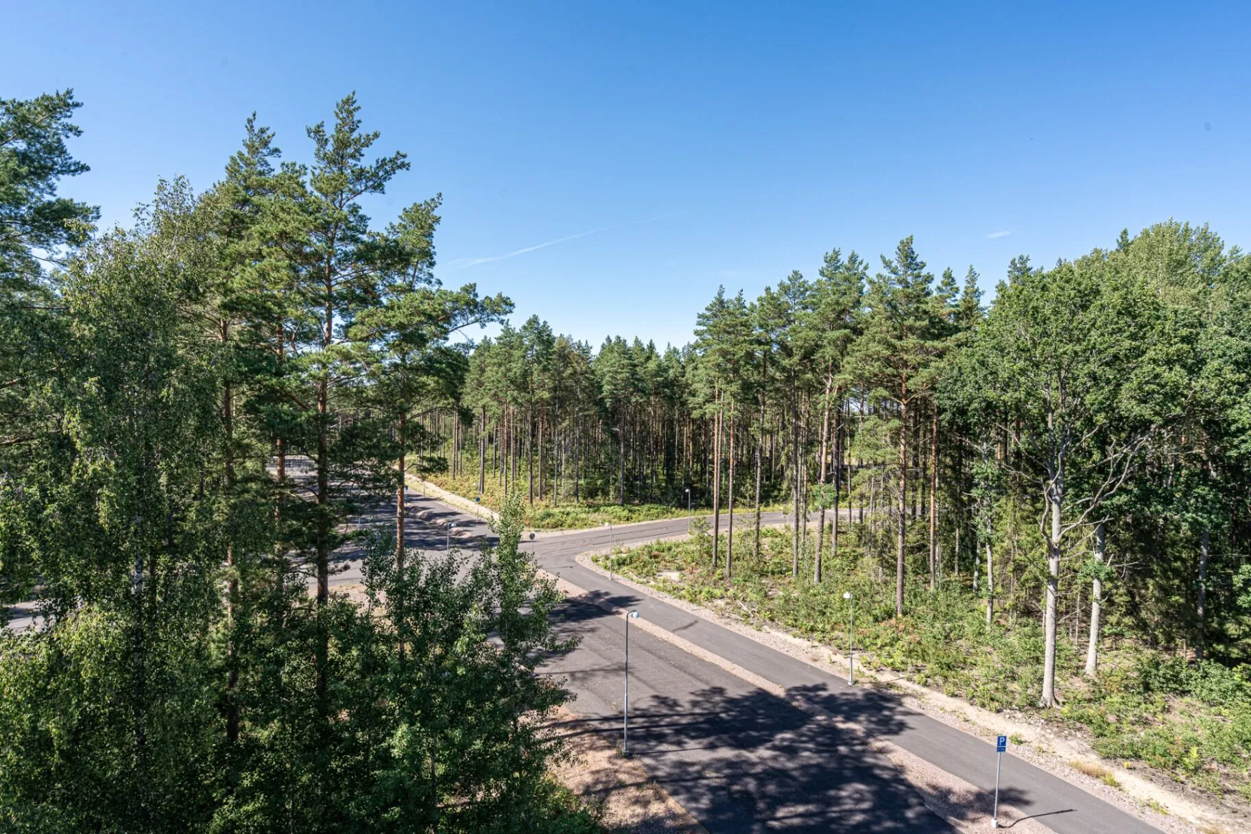 Asfalterad väg genom tallskog vid bostadsområde i Kalmar